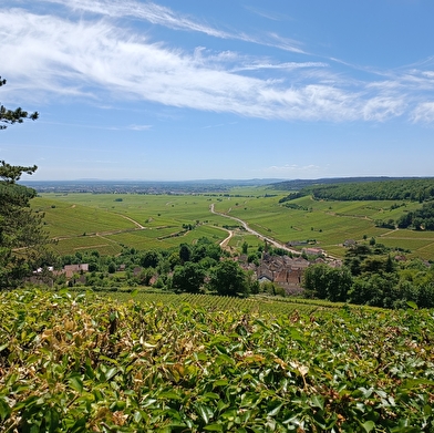 Clos de la Providence