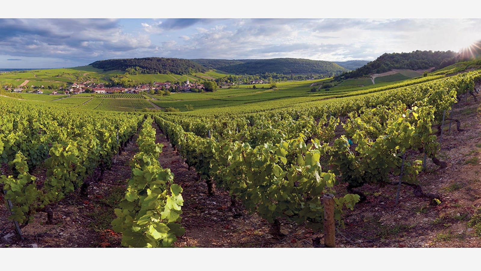 Sentier Meursault-Blagny 