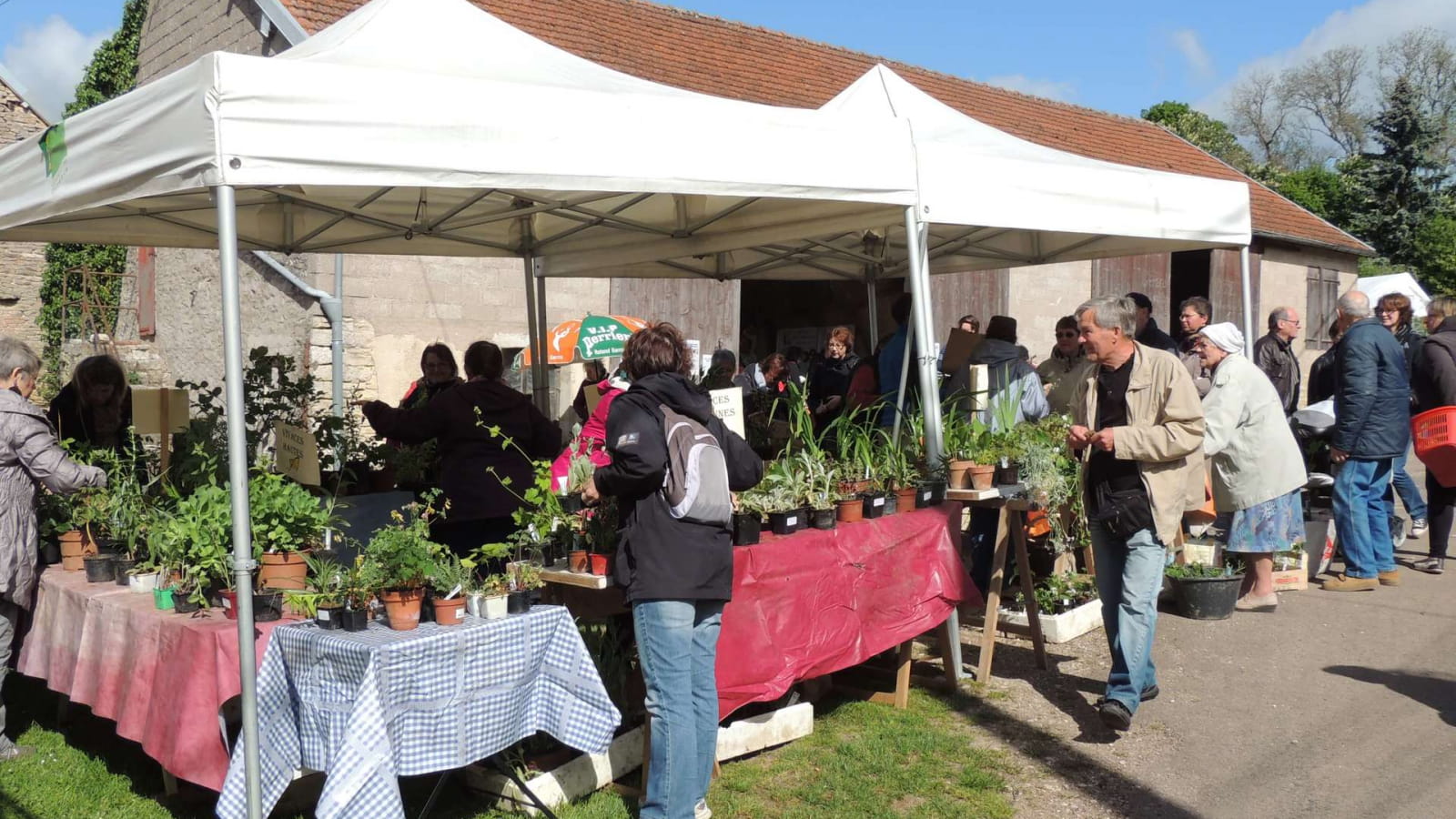 Troc aux plantes et Vide grenier