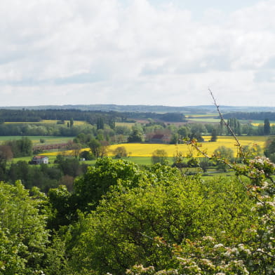 Mont de Marcilly