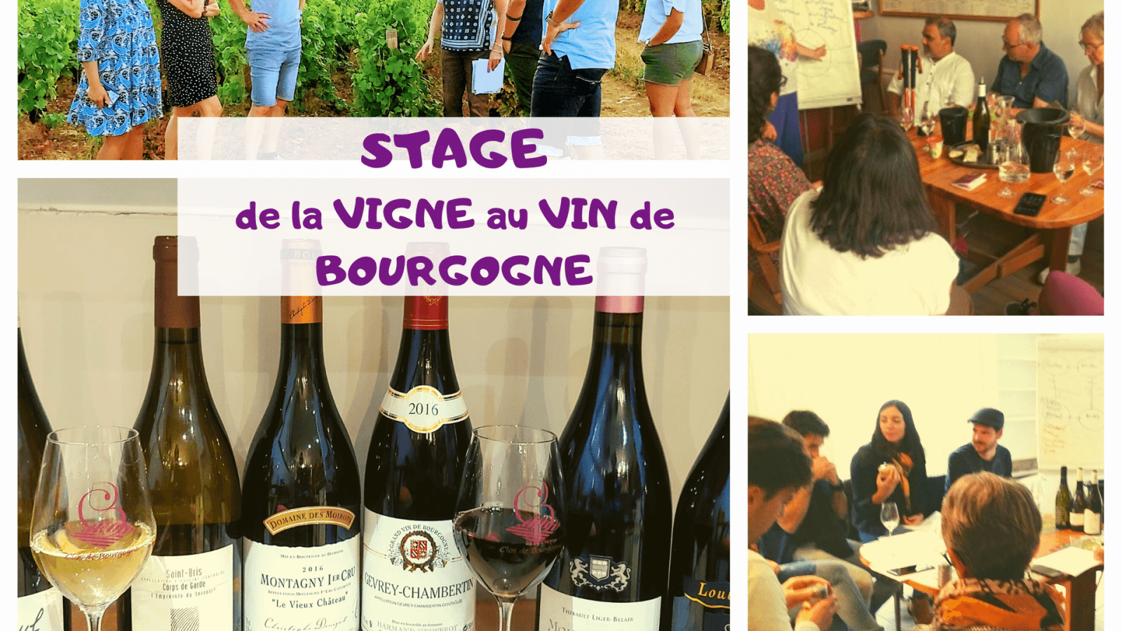 Stage d'œnologie et dégustation des vins de Bourgogne
