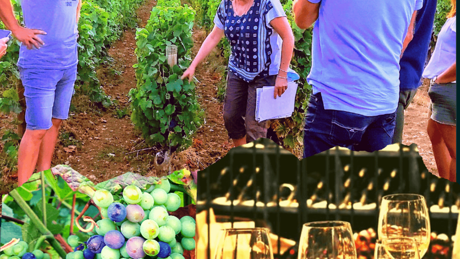 Atelier Découverte' secrets des vins Bourgogne'