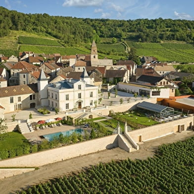 Château de Saint-Aubin - Maison Prosper Maufoux : Expérience vélo vignoble