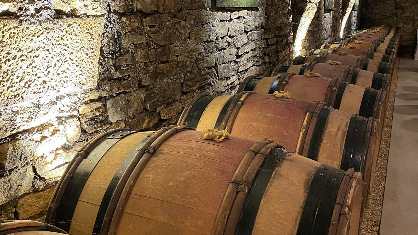 Wine tasting et Boogie aux Caves Saint-Nicolas de la Maison Albert Bichot