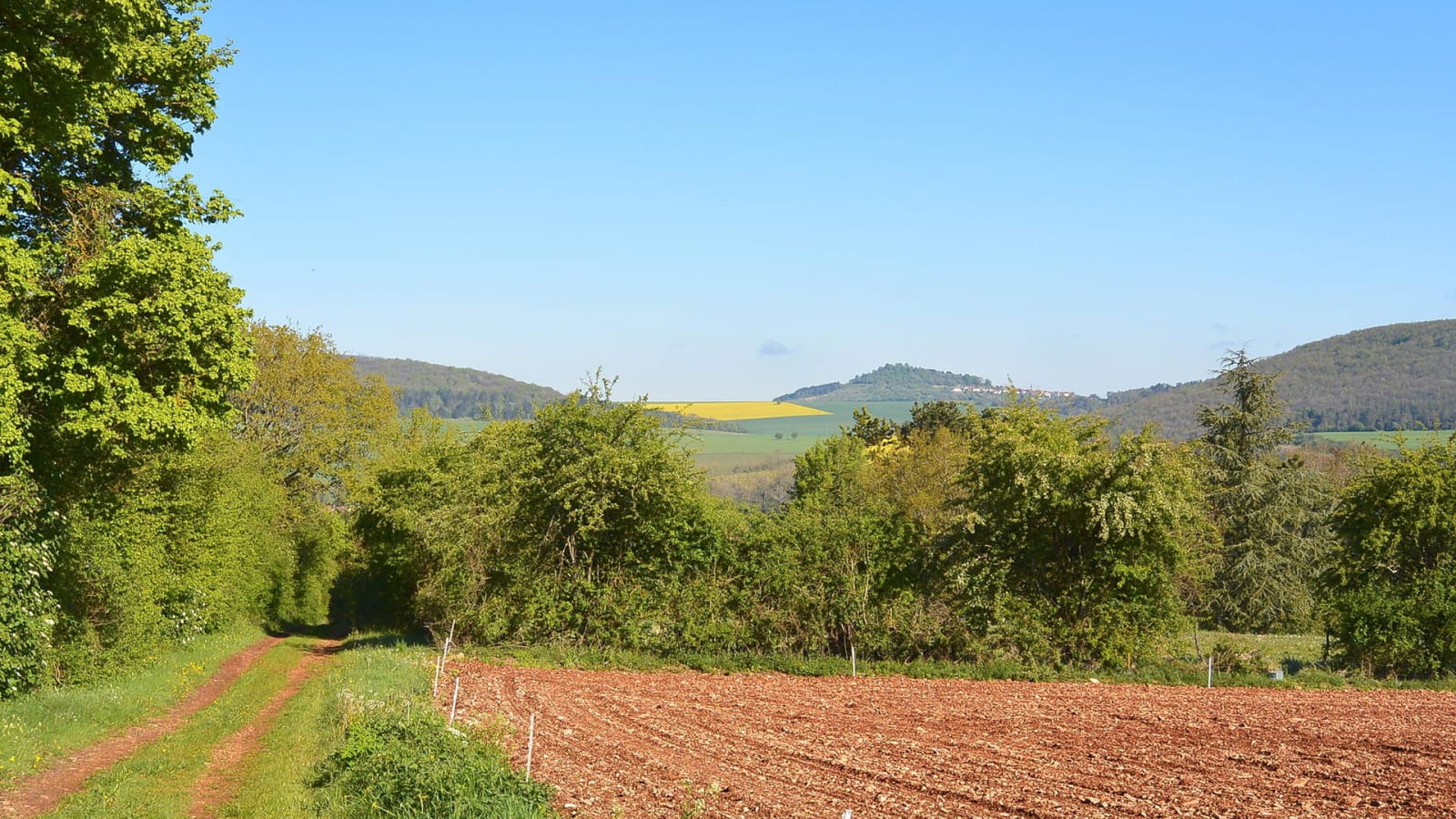 Parcours des Bois de l'Ignon