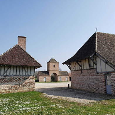 Ateliers torchis : L'atelier qui réinvente la construction durable