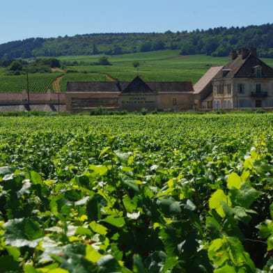 Clos du Moulin aux Moines