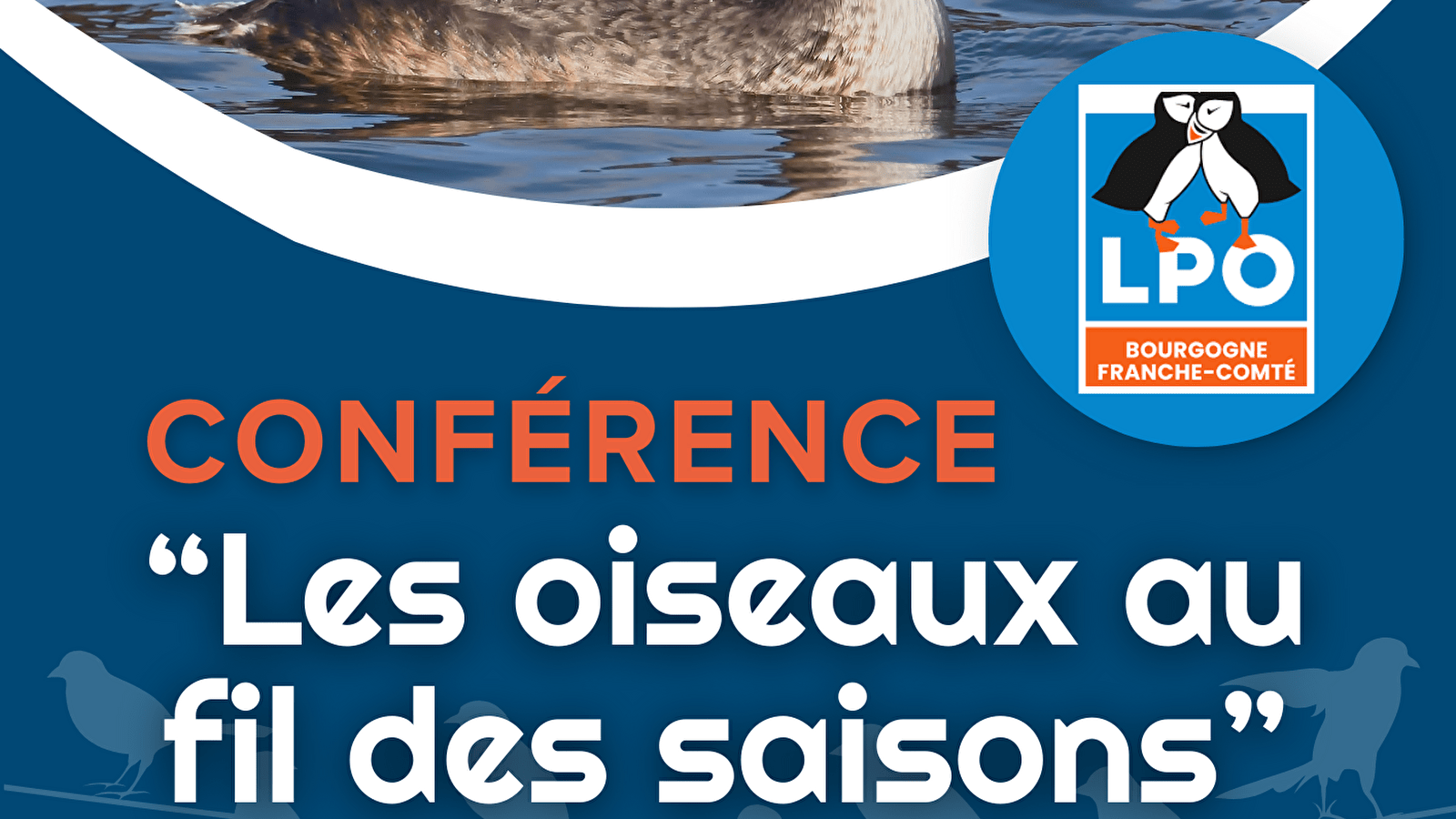 Conférence 'Les oiseaux au fil des saisons'