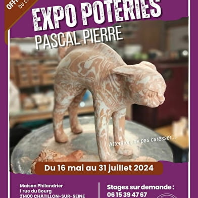 Expo de poteries de Pascal Pierre