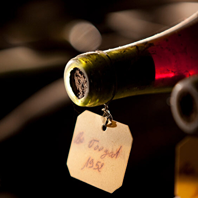 Journée vélo et vin en Cote de Nuits