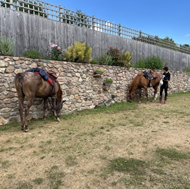 Randonnée à cheval sportive vers le Morvan sur le chemin de Bibracte 
