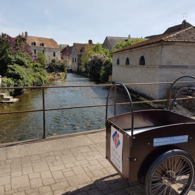 Office de Tourisme Mirebellois et Fontenois - BIT de Bèze