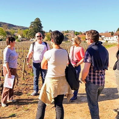 clos de Bourgogne, Master class découverte' Oenologie et dégustation'  des vins de Bourgogne 