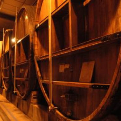 Visites guidées du Cassissium