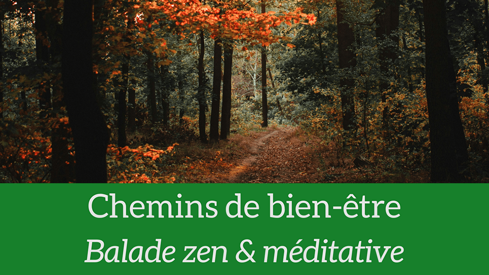 Balade zen et méditative