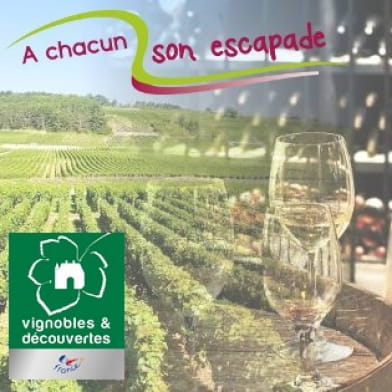 Oenotourisme sur La Route des Grands Crus