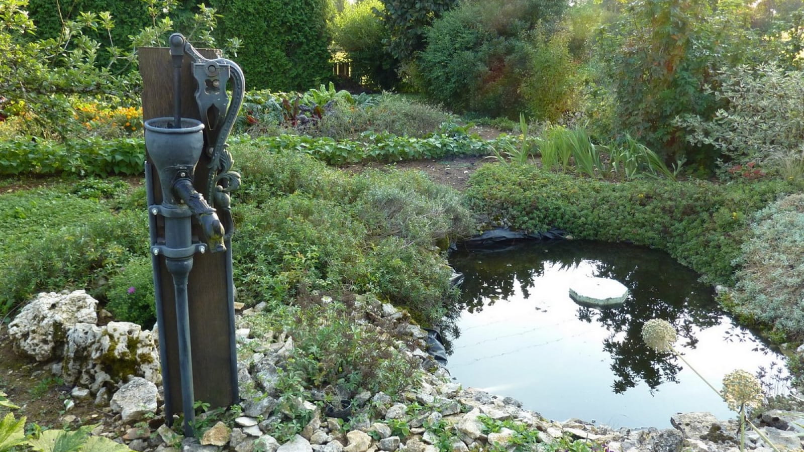 Jardin 'A la croisée des sens'