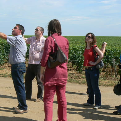 L'Atelier de la Vigne et du Vin