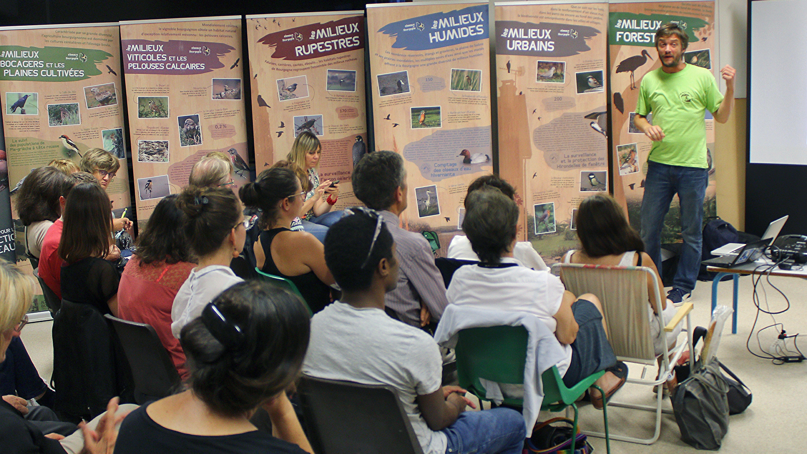 Verdier, linotte, chardonneret et bruants