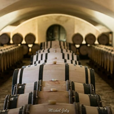 Dégustation Climat de Bourgogne au Château de Marsannay