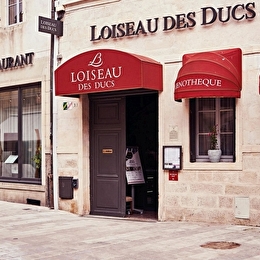 Loiseau des Ducs - DIJON