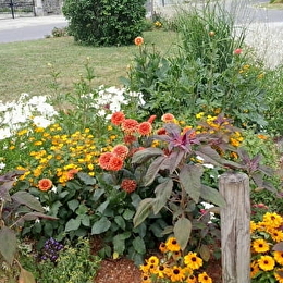 LEVERNOIS - LEVERNOIS