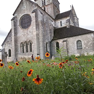 NUITS-SAINT-GEORGES