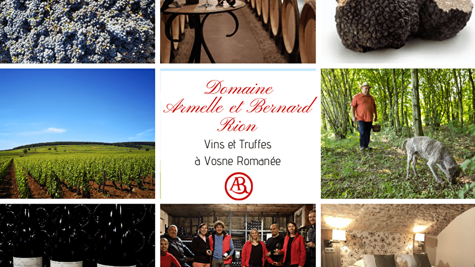 Visites au Domaine Armelle et Bernard Rion