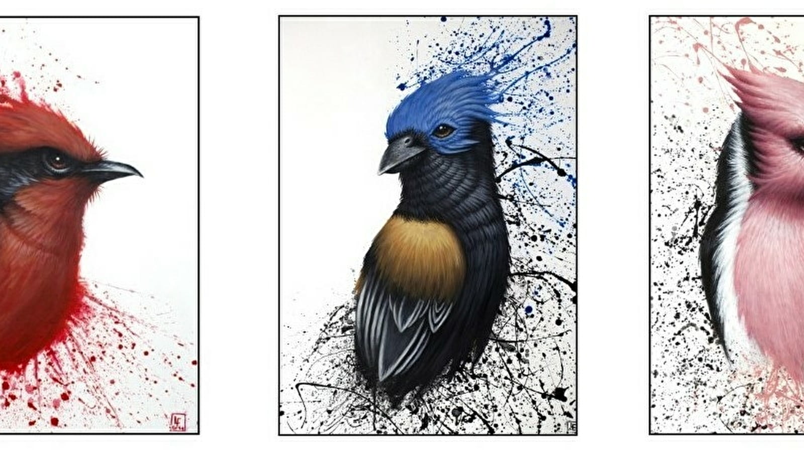 Exposition Florian Labaye 'Rêves Sauvages' et LPO 'Portraits d'oiseaux' 