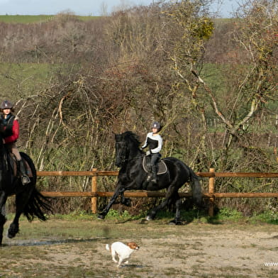 Centre equestre la Maison de Souhey