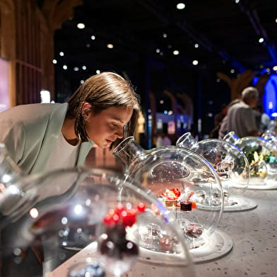 Bulles au musée - Fascinant Week-End