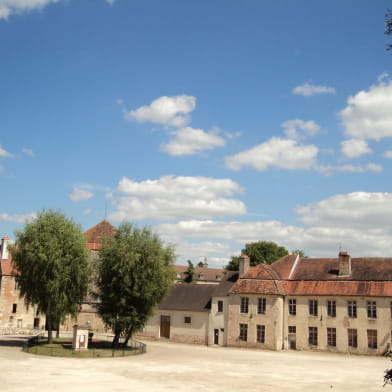 Château Louis XI