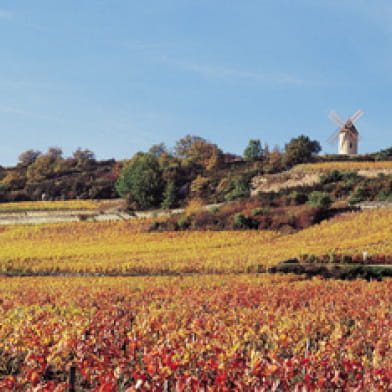 Moulin Sorine