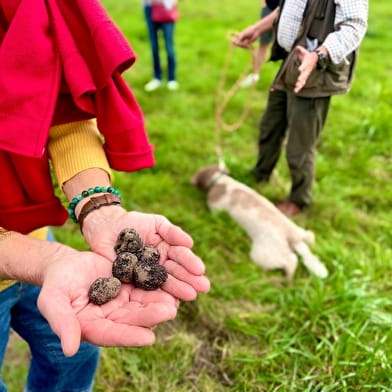 Demi-journées découverte de la truffe