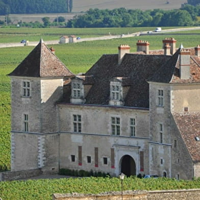 Escapades dans le vignoble - Circuit Découverte - 1/2 journée