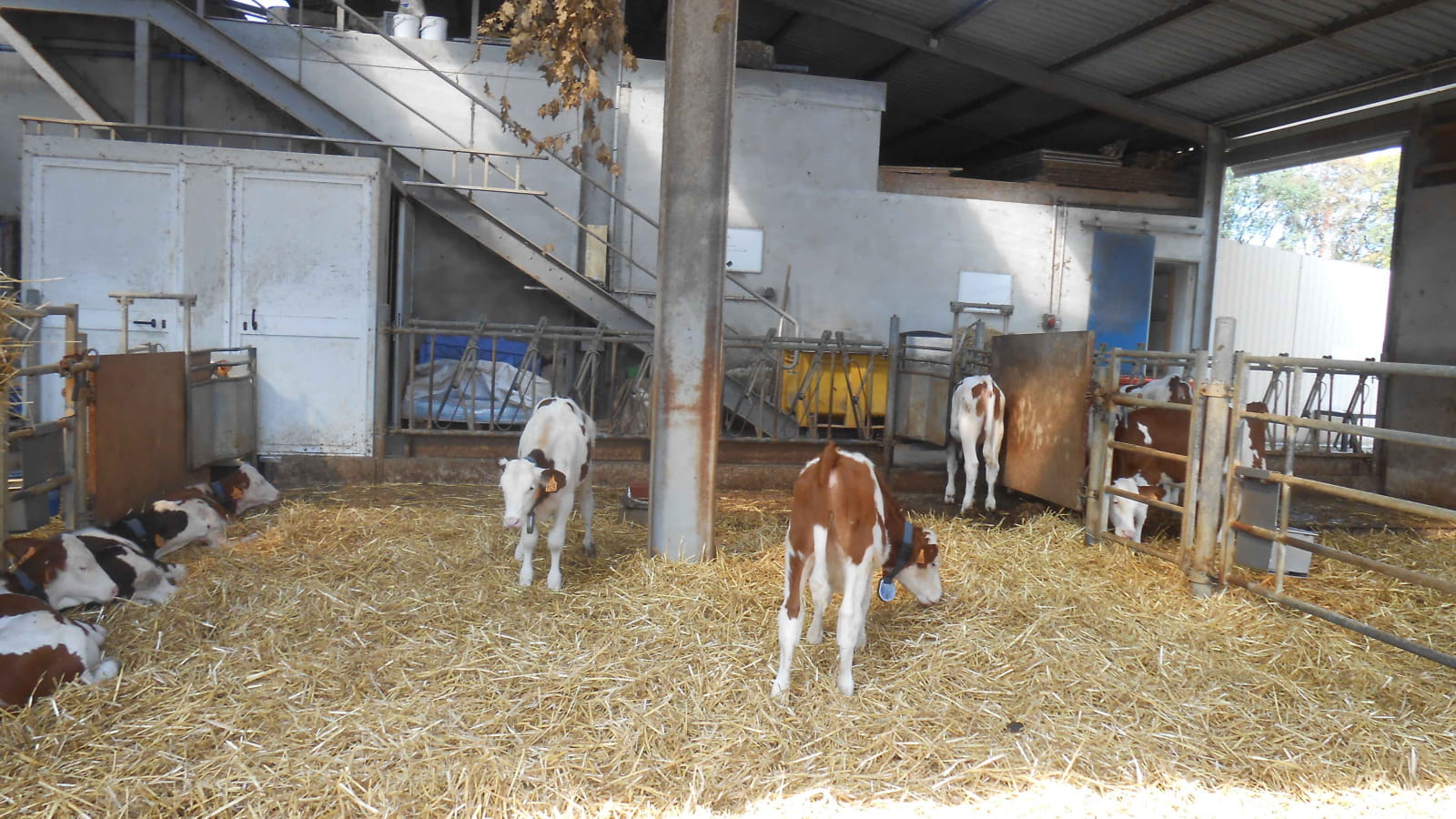 Ferme pédagogique du GAEC des 3 provinces