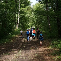 Balade nature en forêt _ENS2025 'sur réservation' - LEUGLAY