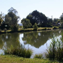 Le camping du Marais - RIEL-LES-EAUX