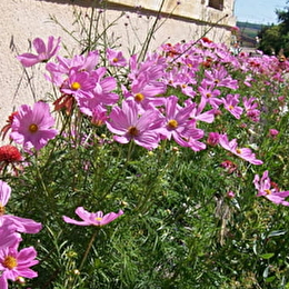 POISEUL-LA-GRANGE - POISEUL-LA-GRANGE