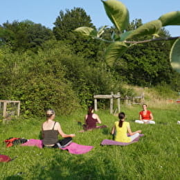 Yoga au son des abeilles - BUSSEAUT
