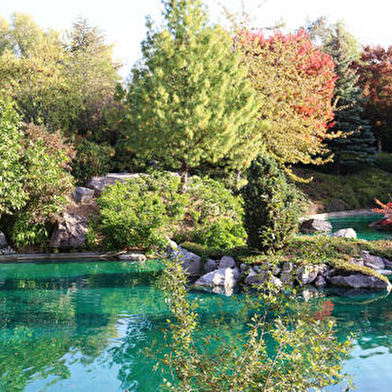 Jardin japonais