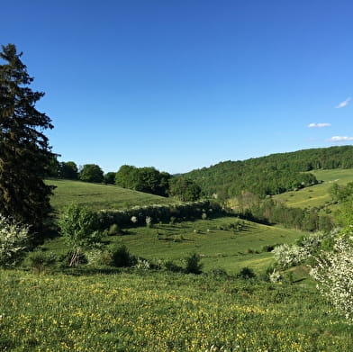 Découverte de l'Auxois à vélo