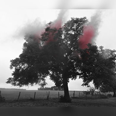 Exposition de photographies : Adélaïde Mairot