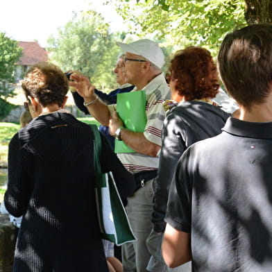 Visite commentée : le patrimoine d'Is-sur-Tille