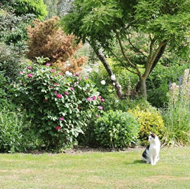 Rendez-vous aux jardins : Jardins de Baloo