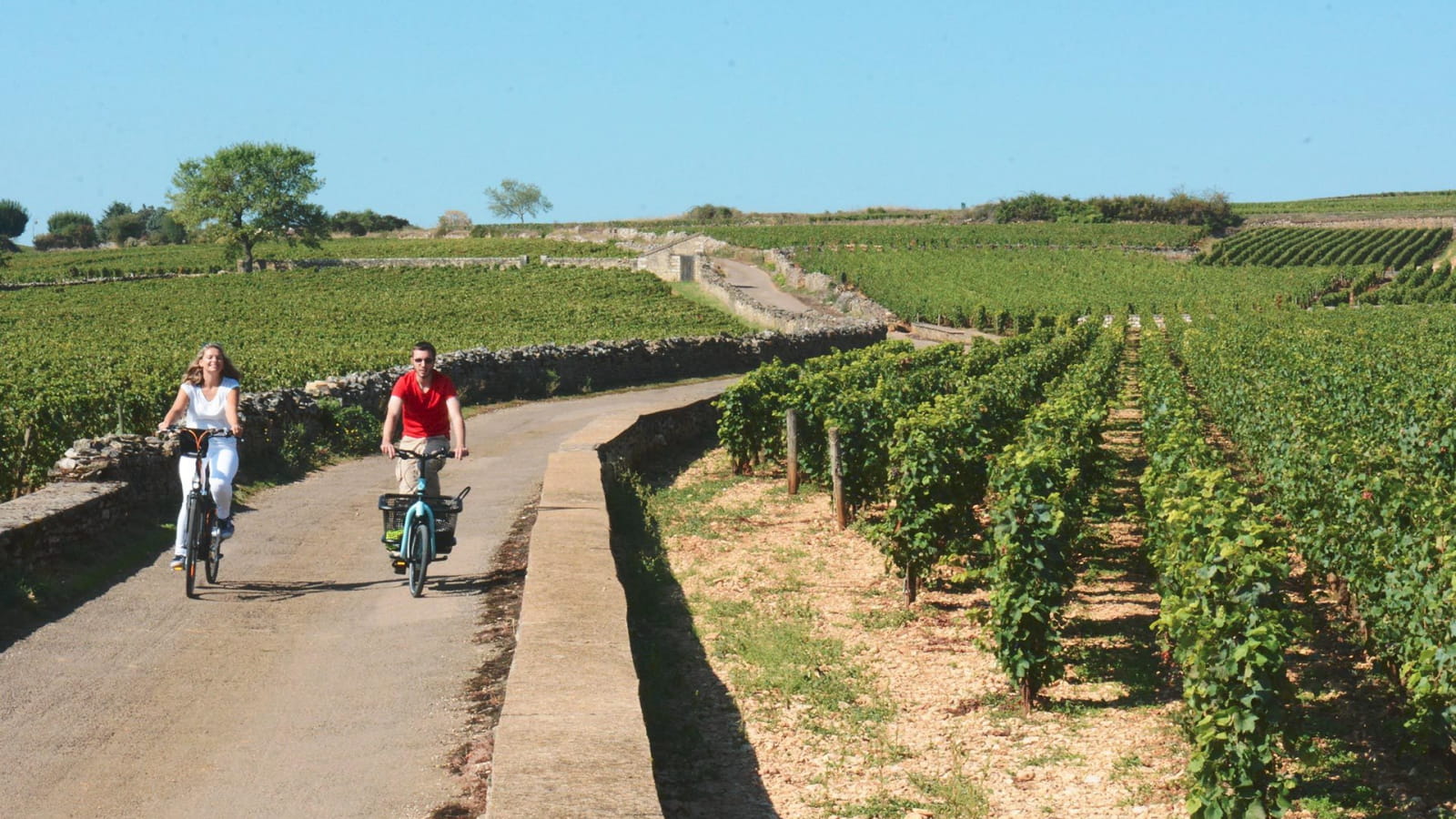 La Voie des Vignes : de Marsannay-la-Côte à Santenay