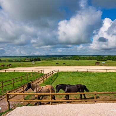 Le Mini Loft de Souhey