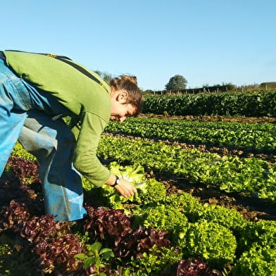 Les jardins de Longecourt