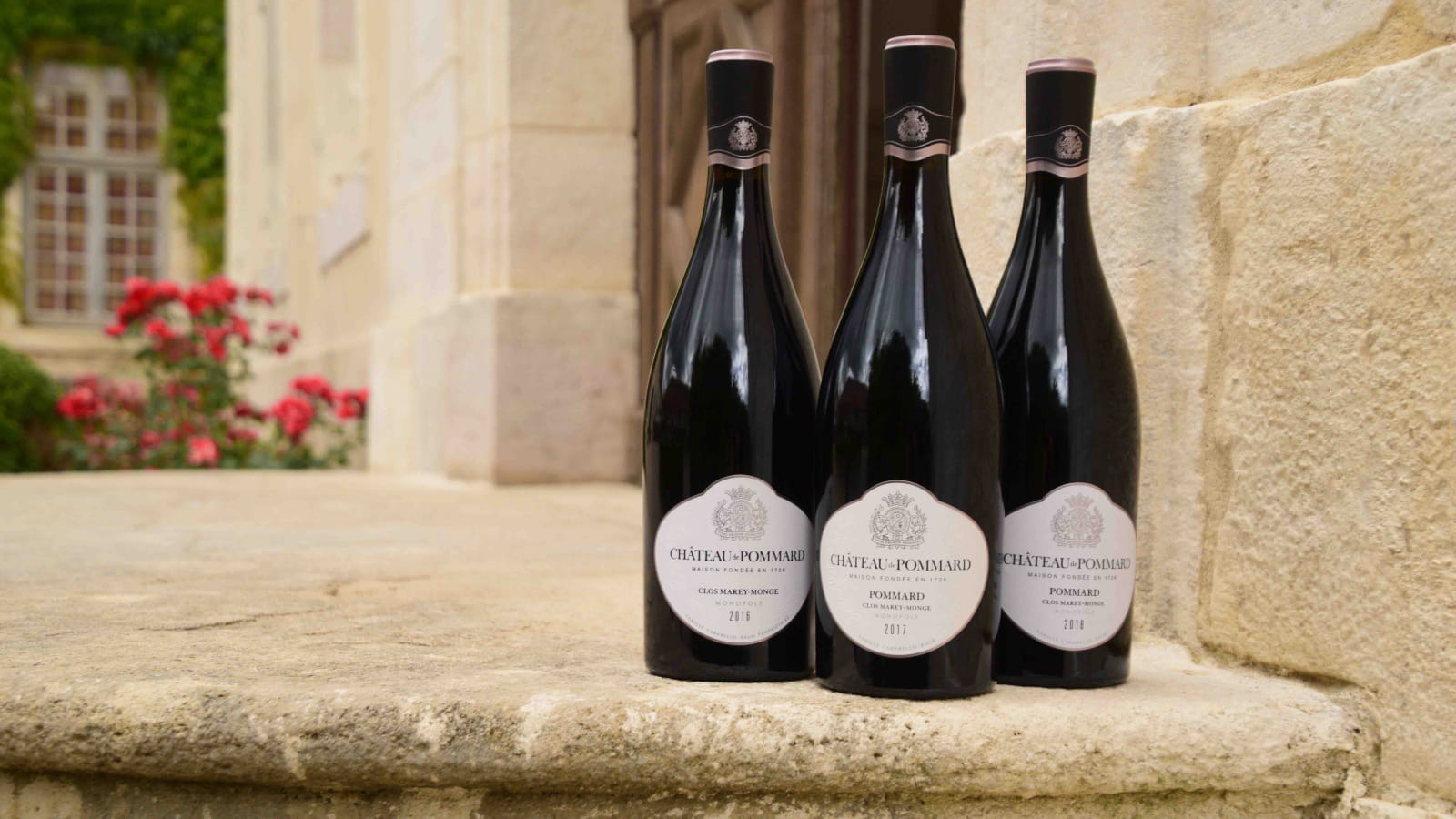 Château de Pommard - Expérience Clos Marey-Monge