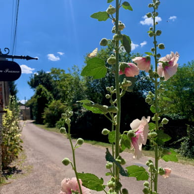 Gîte Fermette en France